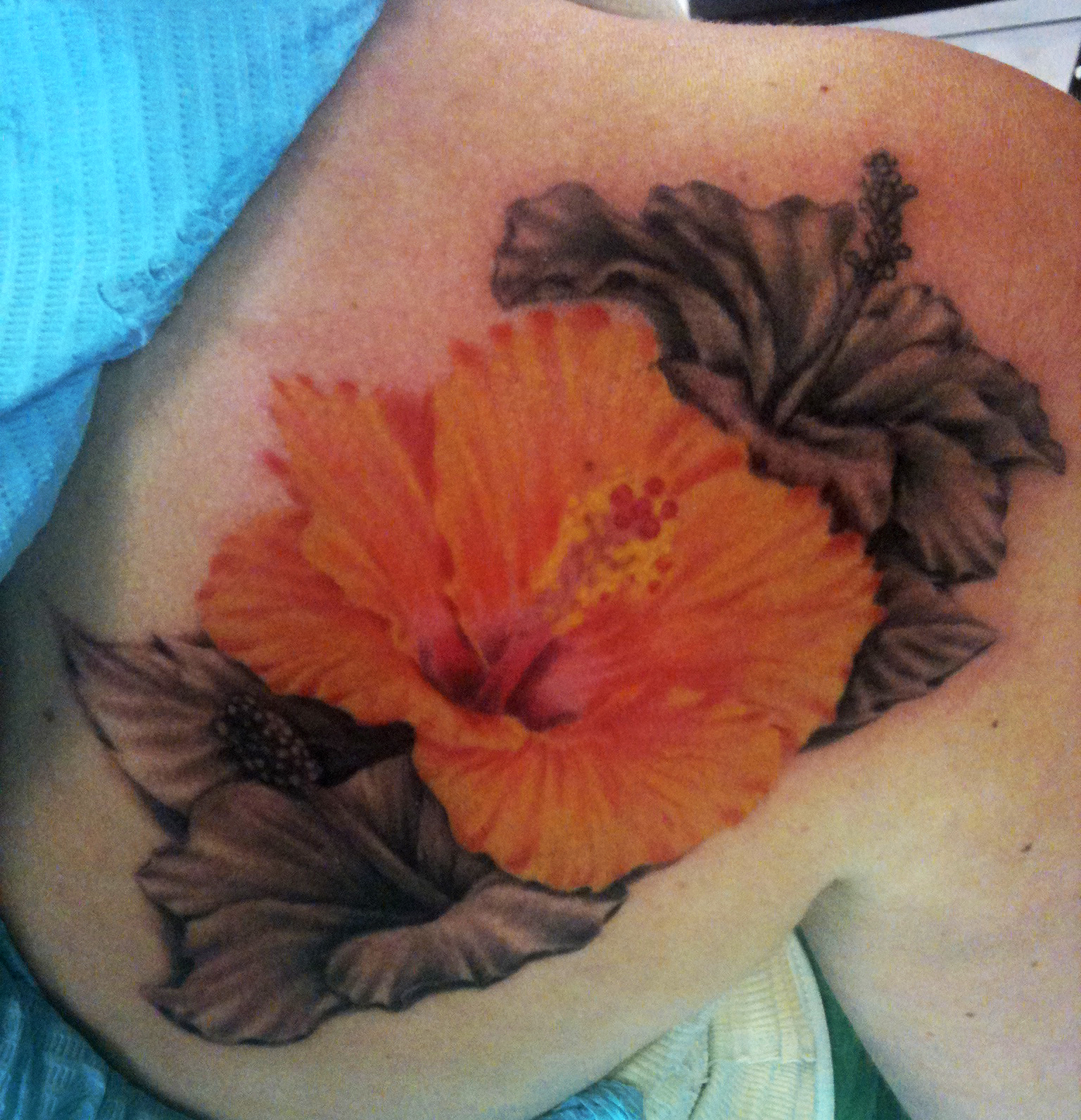 Hibiscus Flower Tattoo – Tattooed Now !